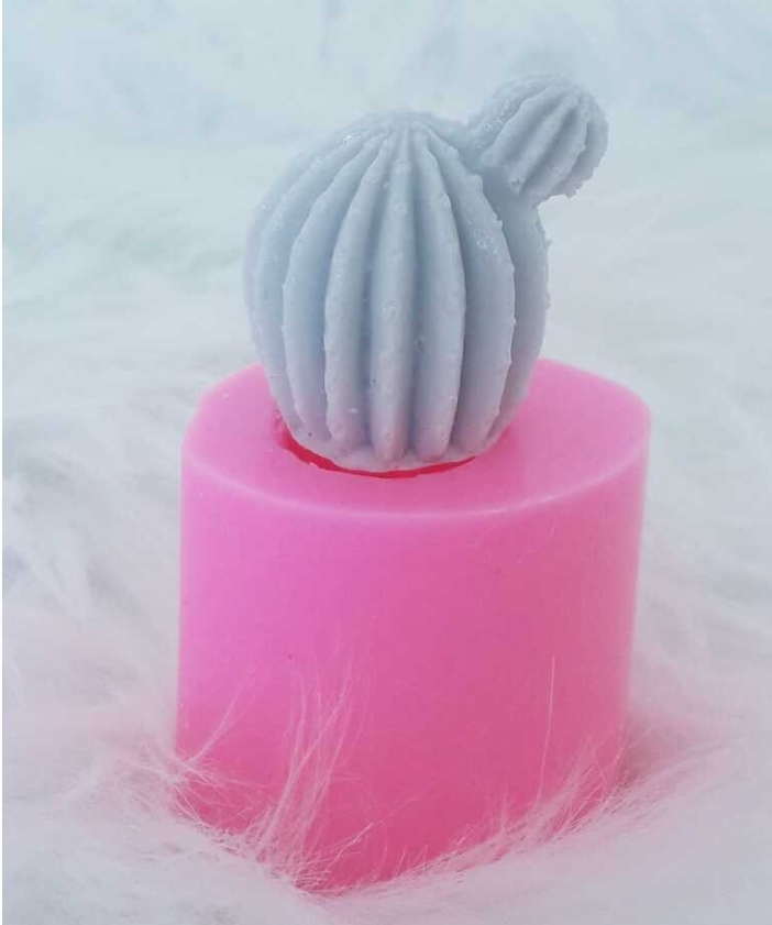 Minyatur kaktüs silikon kalip1