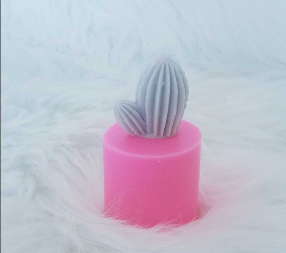 Minyatur kaktüs silikon kalip2